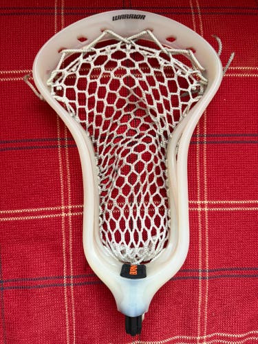 New Warrior Burn FO Recovery