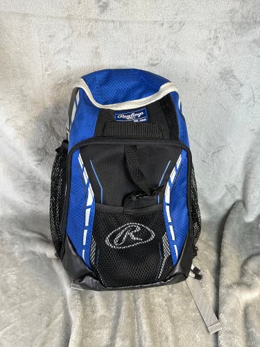 Blue Rawlings Bags & Batpacks Bat Pack (Used)