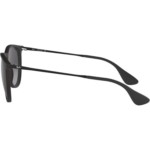 Ray-Ban Erika RB4171 Sunglasses Women display picture 1