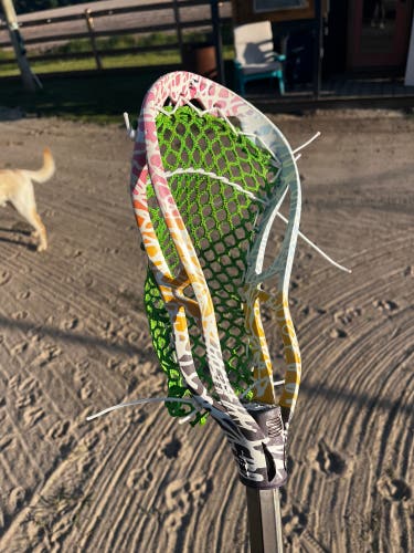 STX AV8