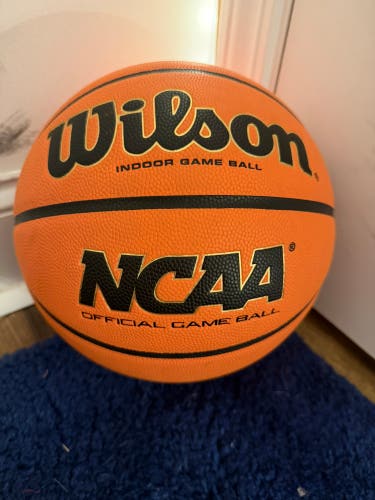 Men's Wilson Basketball (Used)