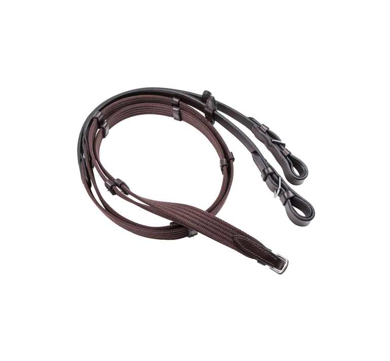 Reins