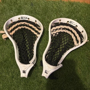 STX Stallion Head (Used)