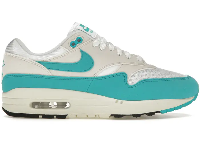Size 6.5 - Nike Air Max 1 Dusty Cactus (Women's) DZ2628-107