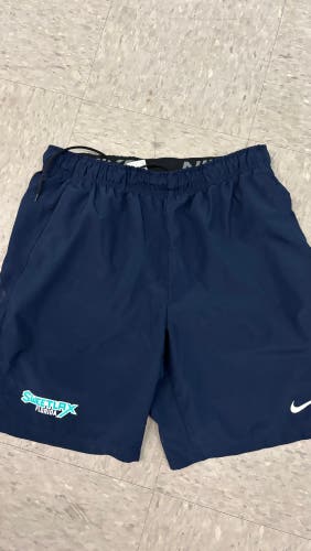 Blue Large Men's nike Shorts (Used)