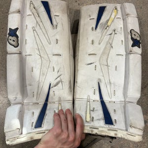 Brian's Netzero Goalie Leg Pads | YTH 21" (Used)