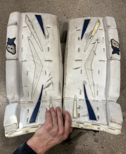 Brian's Netzero Goalie Leg Pads | YTH 21" (Used)