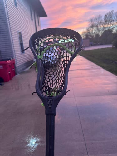 Adult Dragon Stick (Used)