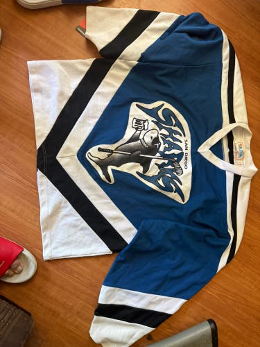 Blue Men's Jersey (Used)