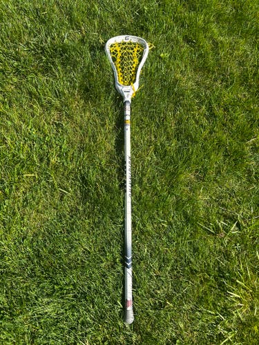 Gait Whip Stick (Used)