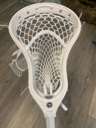Warrior Evo QX2-D Head (New)