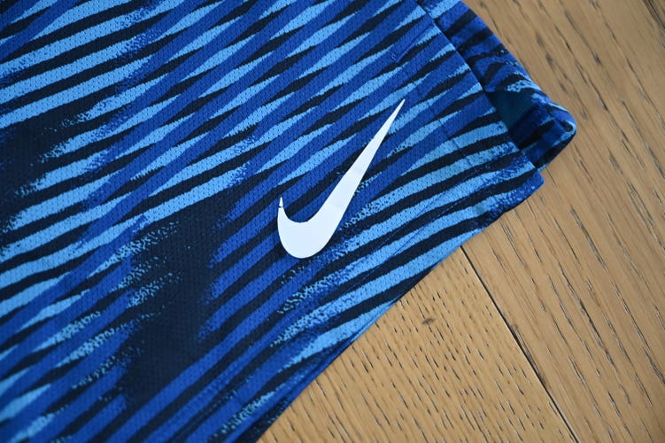 Blue Medium Men's Nike Shorts (Used)