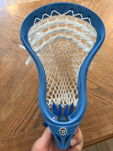 Warrior Evo V Head, LE Blue (Used)