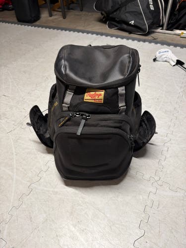 Rawlings Bat Bag (Used)