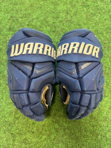 Blue Junior Warrior Pro Gloves 12" (Used)