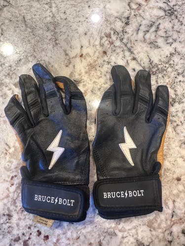 Batting Gloves (Used)
