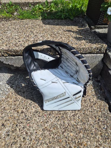 Int. Passau Goalie Glove Regular (Used)