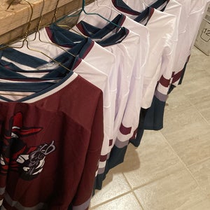 Mens League Adult jersey set - XL (Used) mighty ducks