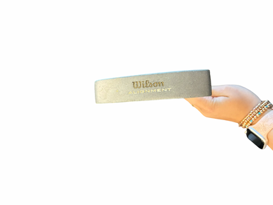 Used Wilson ALIGNMENT Mens Putter RH 11682-S000132283