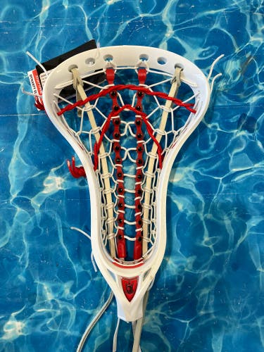 Brine Dynasty Elite Head (New)