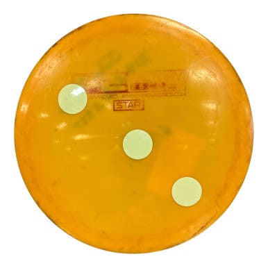 Used Innova F2 LEOPARD 11450-S000487589