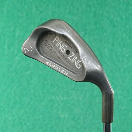 Ping Zing Stainless Black Dot Single 2 Iron TT DG 95 VSS Pro R300 Steel Regular