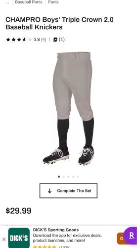 Gray XL Youth Champro Game Pants (New)