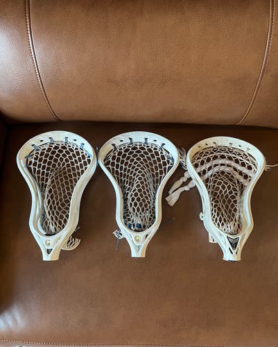 Warrior Qx-O & Evo 5