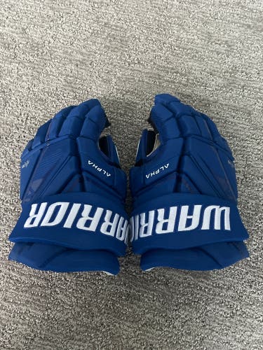 Warrior Alpha LX3 Gloves 14" (Used)