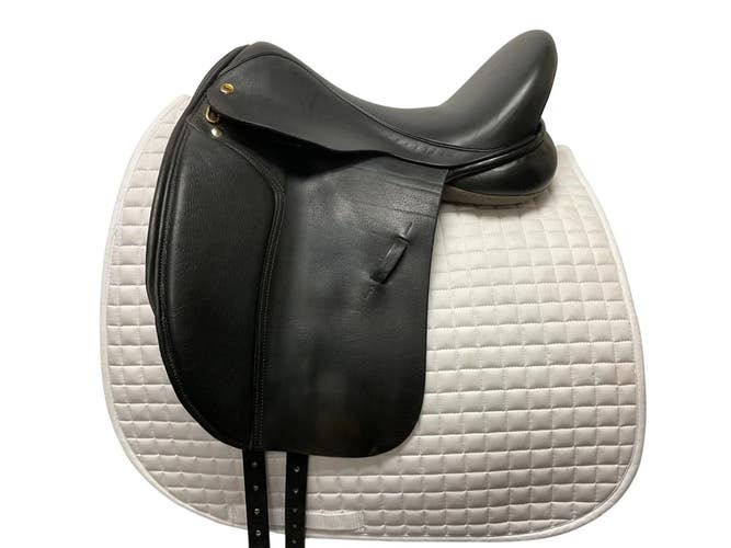 Black Country Eloquence Dressage 17 NM