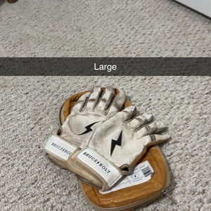 Large Batting Gloves (Used)