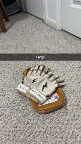 Large Batting Gloves (Used)