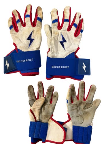 Large Batting Gloves (Used)