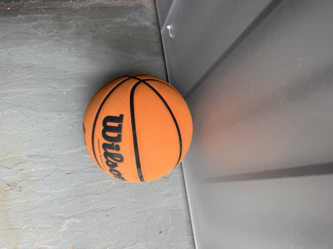 Men's Wilson Basketball (Used)