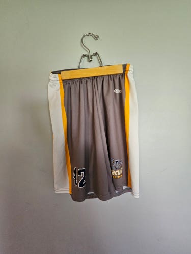 Gray Medium Men's Shorts (Used)