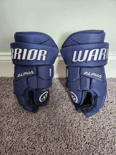 Warrior Alpha FR2 Gloves 14" (Used)