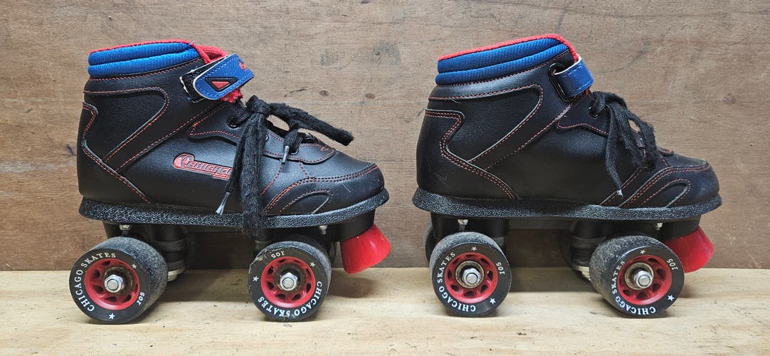 Quad Skates Regular Width Size 3 (Used)