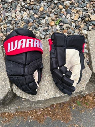 Warrior Alpha Gloves 13" (Used)