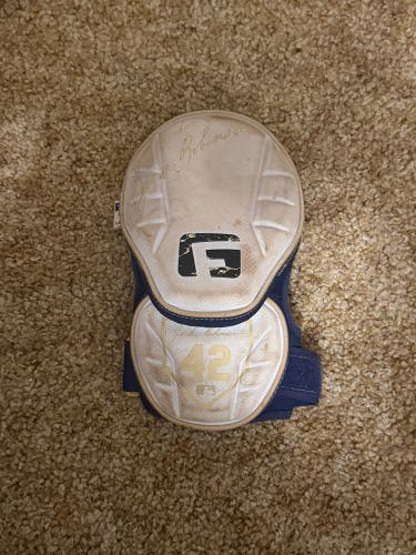 Blue Elbow Protection (Used)
