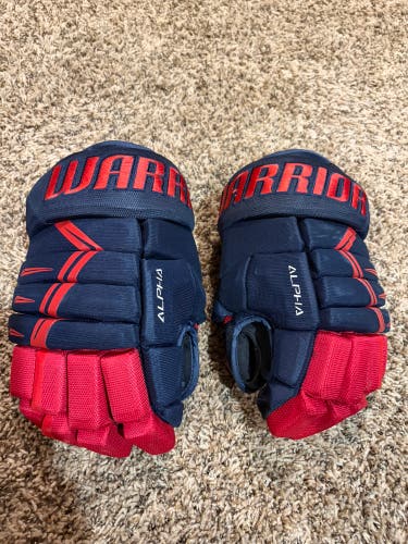 Warrior Alpha DX3 Gloves 13" (Used)