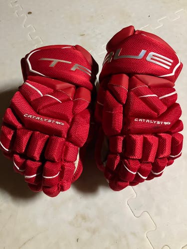 True Catalyst 9x3 Gloves 13" (Used)