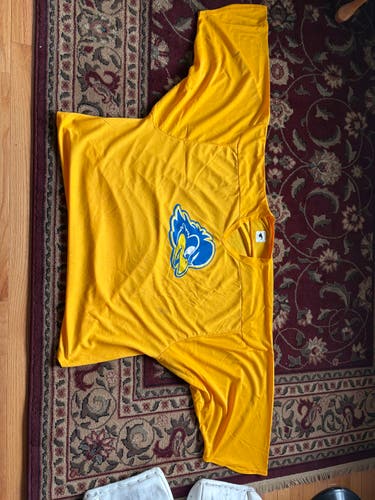 (Used) University of Delaware Blue Hen's ACHA Practice Jersey