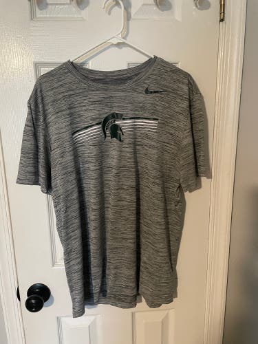 Gray Large Men's Michigan State Shirt