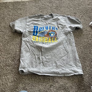 Gray Medium Men's Shirt (Used)