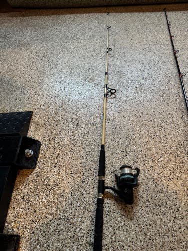 Fishing Rod (Used)