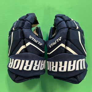 10" Junior Warrior Alpha LX2 Gloves