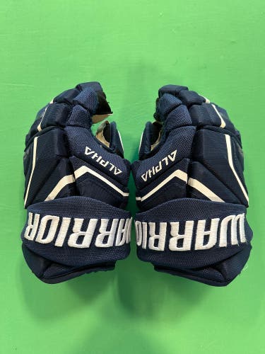 10" Junior Warrior Alpha LX2 Gloves