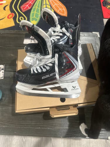2025 Bauer Vapor Fly40 Hockey Skates Regular Width 6.5 (Used)