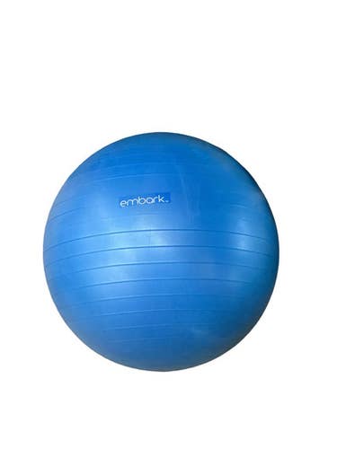 Used Yoga Ball Exercise Accessory Other 11760-S000091870