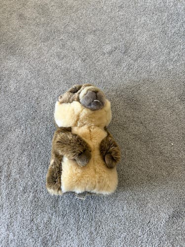 Gopher Driver Head Cover (New)